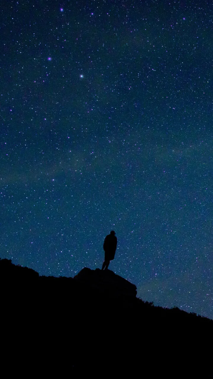 People standing looking at star night sky