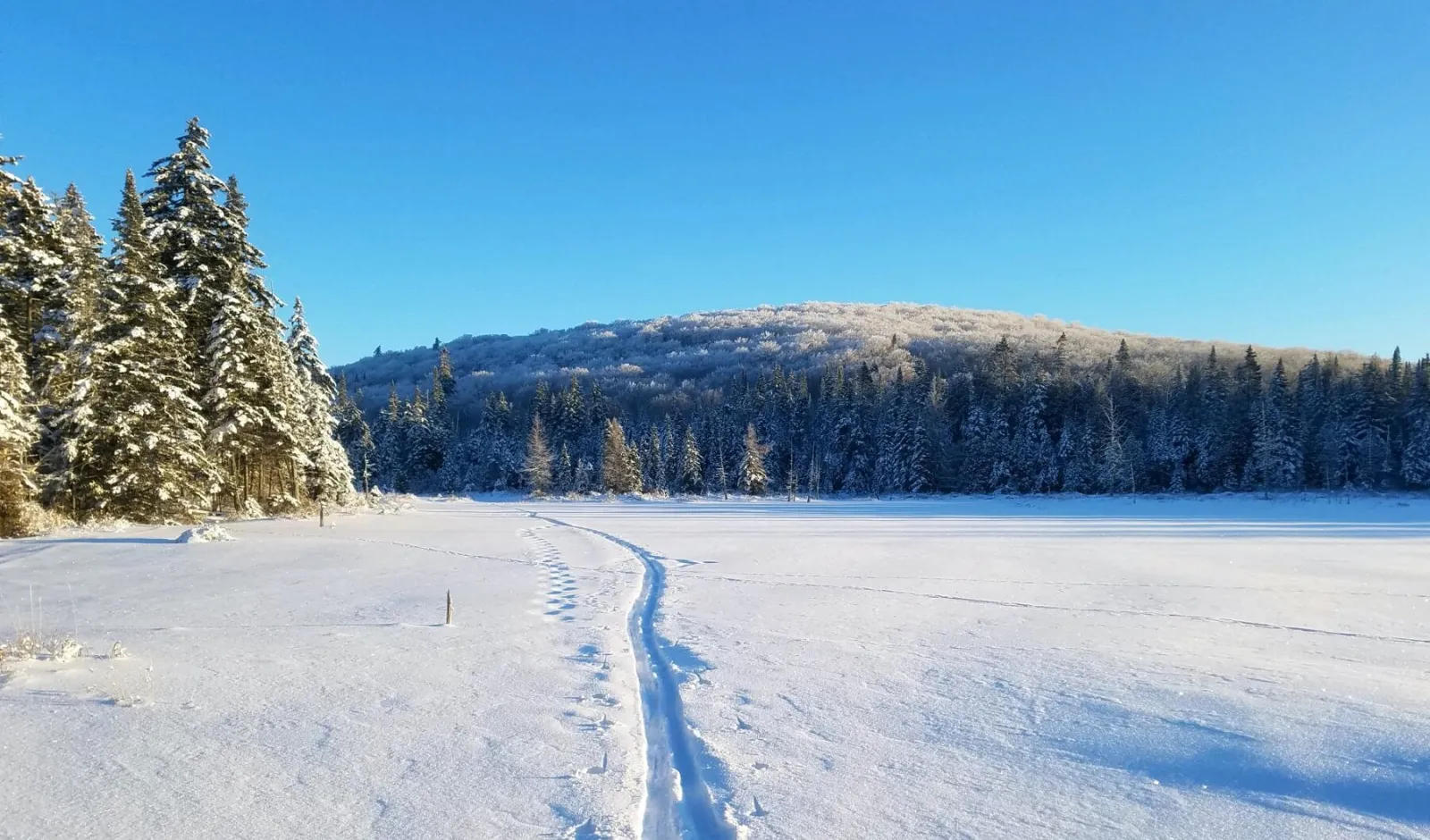 Ski trail in Vermont
