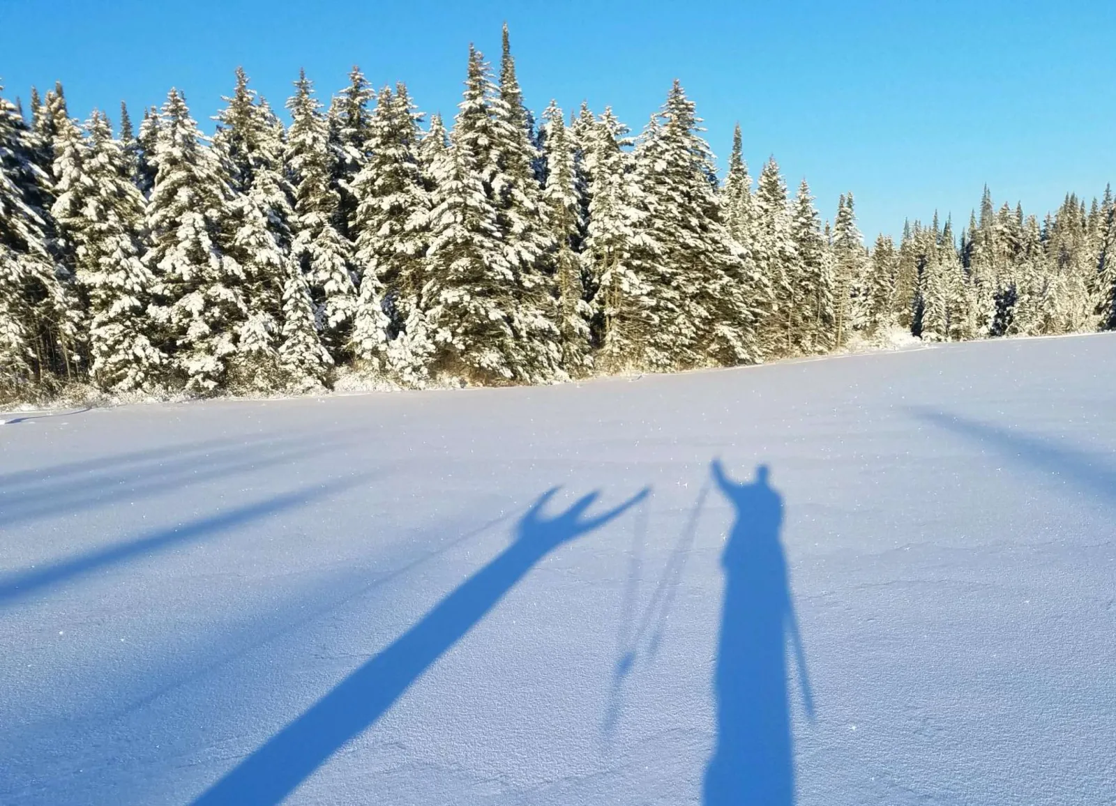 Skiers shadow in the snow