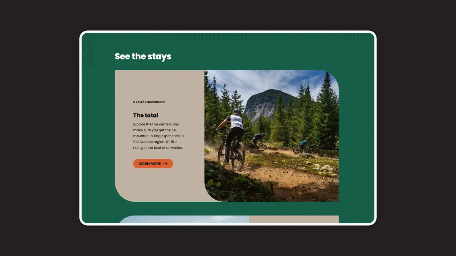 Screenshot of QVM website