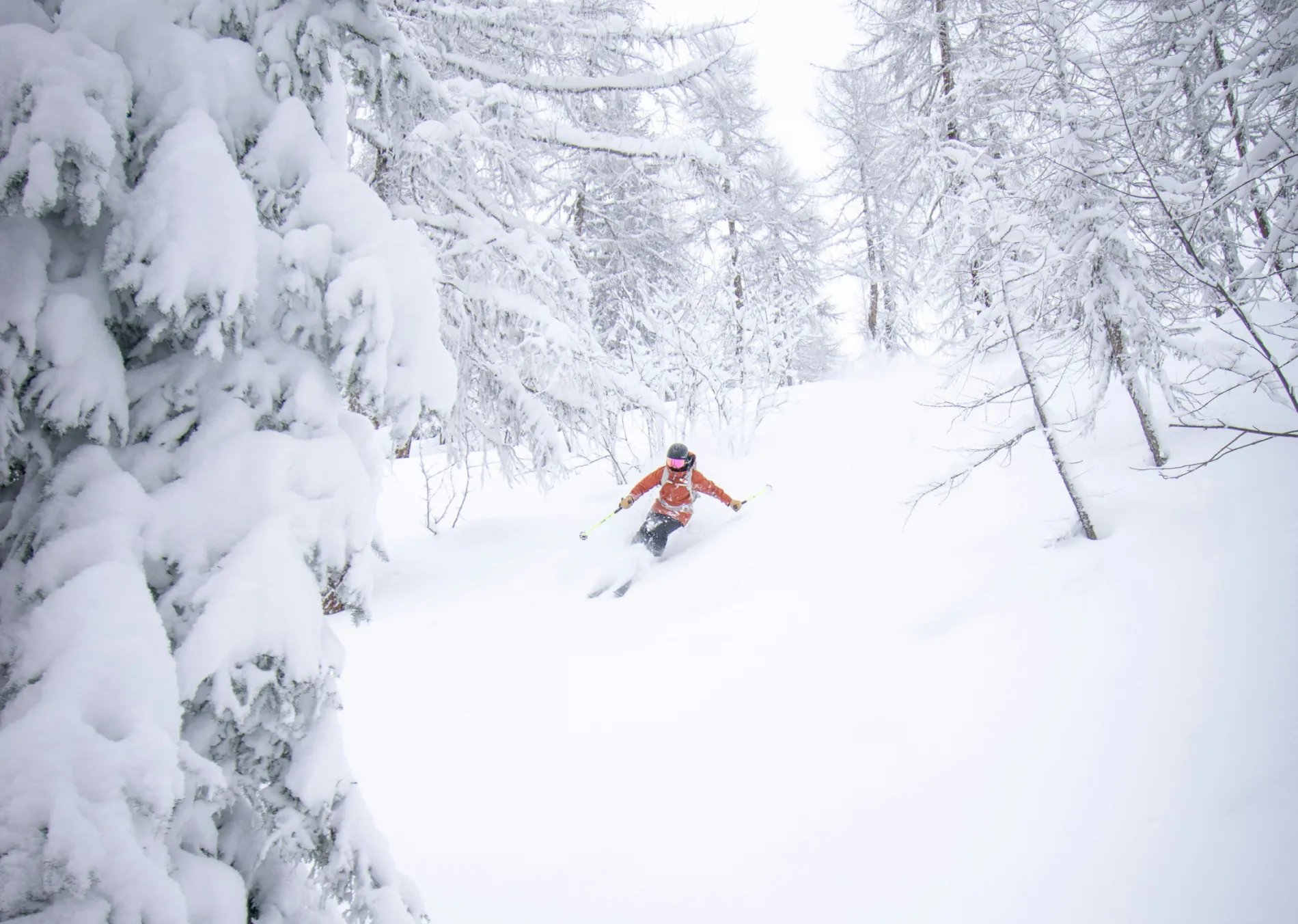 Skier in a red jacket navigating through snowy forest.