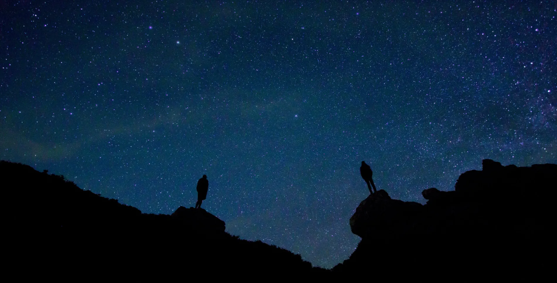 People standing looking at star night sky